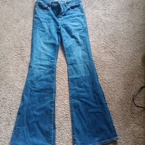 American Eagle Outfitters Blue Flare Wide Leg Jeans